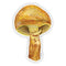 Watercolor illustration of a larch bolete mushroom printed on a durable vinyl sticker, perfect for decorating laptops or water bottles.