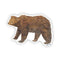 Grizzly Bear - Watercolor California Grizzly Sticker depicting a grizzly bear, designed by Brigida Swanson. Ideal for decorating laptops or water bottles.