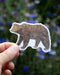 Hand holding Grizzly Bear - Watercolor California Grizzly Sticker, featuring a watercolor illustration by Brigida Swanson, ideal for laptops or water bottles.