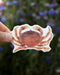 Hand holding a Dungeness Crab - West Coast Watercolor Nature Sticker, featuring a watercolor illustration of a crab by artist Brigida Swanson.