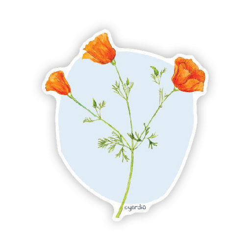 California Poppy - Watercolor Wildflower Sticker: A close-up illustration of vibrant orange watercolor poppies, perfect for personalizing items like laptops and water bottles.