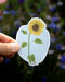 Hand holding Sunflower - Watercolor Wildflower Sticker, featuring a sunflower illustration by Brigida Swanson. Perfect for decorating laptops or water bottles.