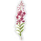 Watercolor illustration of a fireweed wildflower sticker, designed by Brigida Swanson. Ideal for decorating laptops or water bottles. Weatherproof and fade-resistant.