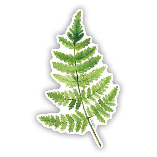 Watercolor Oak Fern sticker depicting a detailed fern leaf, ideal for laptops or water bottles. Created by Seattle artist Brigida Swanson.