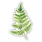Watercolor Oak Fern sticker depicting a detailed fern leaf, ideal for laptops or water bottles. Created by Seattle artist Brigida Swanson.
