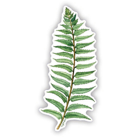 Sword Fern - Watercolor Fern Sticker, featuring a detailed watercolor illustration of a sword fern frond, ideal for laptops or water bottles.