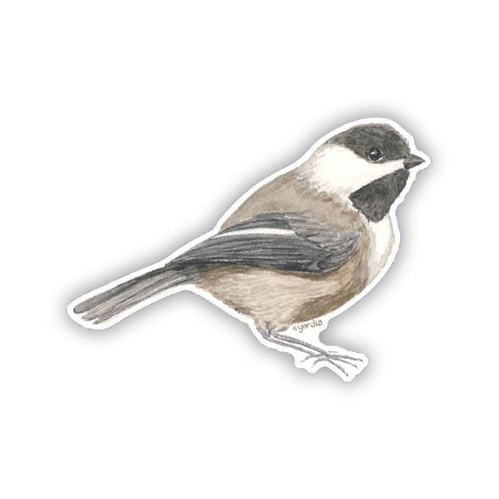 Watercolor chickadee sticker with black and white beak, designed by Seattle artist Brigida Swanson. Ideal for birders, cottagecore enthusiasts, or ornithologists.