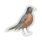 A close-up of a vinyl robin sticker featuring a watercolor illustration by Brigida Swanson, ideal for birders and nature enthusiasts.