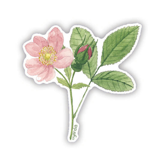 Watercolor illustration of a wild rose sticker featuring a flower and bud, perfect for laptops or water bottles. Created by artist Brigida Swanson.