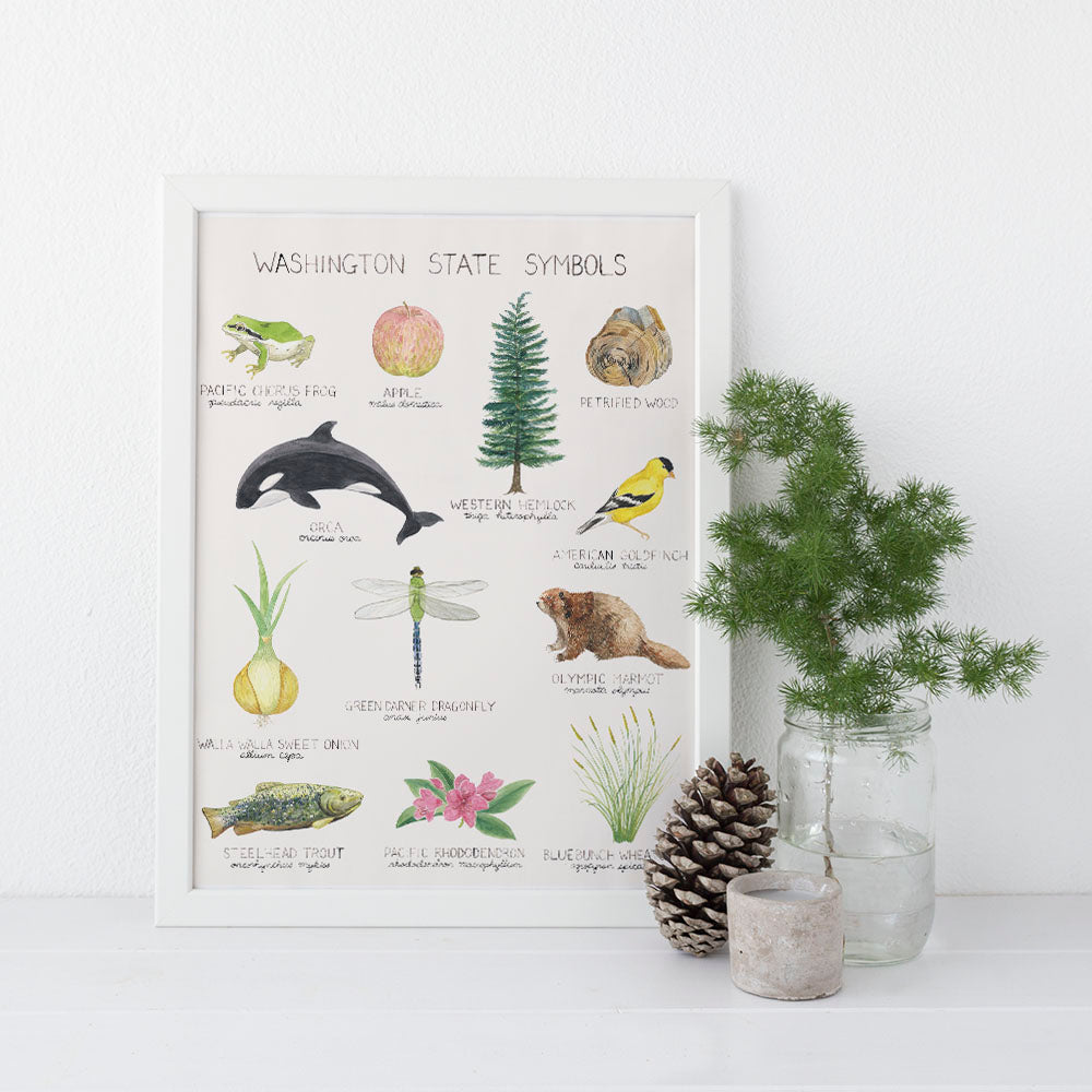 Washington State Symbols Art Print featuring watercolor illustrations of state symbols like animals and plants, unframed, on archival paper for nature enthusiasts.