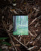 Love Grows Anniversary Card featuring a watercolor illustration of redwood trees and ferns on high-quality recycled cardstock, blank inside, with a kraft envelope.