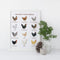 Backyard Chicken Breeds Art Print featuring watercolor illustrations of popular chicken breeds, ideal for chicken enthusiasts and home decor. Frame not included.