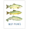 Best Fishes Card with watercolor illustrations of Pacific Northwest trout on a white background, perfect for sending heartfelt messages, made from recycled paper.