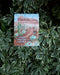Warm Holiday Wishes Card featuring a watercolor desert landscape and mountain, displayed on a plant, highlighting its nature-inspired design and sustainable production.