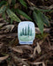 forest sticker with connection text, pictured on forest floor