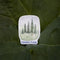 Connection Trees Sticker: Vinyl sticker showcasing a watercolor illustration of evergreen trees with CONNECTION text. Ideal for laptops or water bottles, designed by Brigida Swanson.