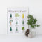 Pacific Northwest Trees Watercolor Art Print featuring nine illustrated native trees with their names, perfect for nature enthusiasts. Frame and candle not included.