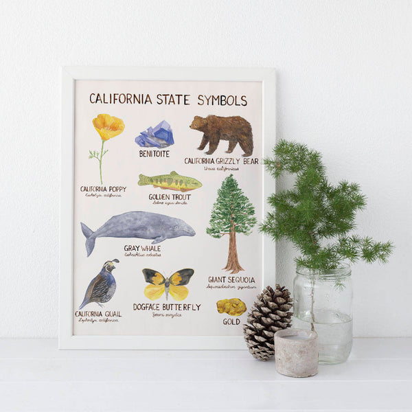 California state symbols watercolor art print with nature illustrations and common and latin identification
