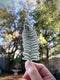 Hand holding a Sword Fern - Watercolor Fern Sticker, depicting a watercolor illustration of a sword fern frond, created by artist Brigida Swanson.