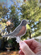 Hand holding Robin Sticker - Watercolor Bird Sticker for Birders, depicting a watercolor American Robin, ideal for laptops or water bottles.