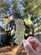Hand holding a Feather Boa Kelp Sticker, a watercolor seaweed sticker by Brigida Swanson, showcasing a leaf illustration. Perfect for laptops or water bottles.