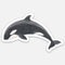 Orca Sticker: Vinyl sticker of a watercolor orca whale by Brigida Swanson. Weatherproof, fade-resistant, and dishwasher safe, measuring 4 x 2.5.