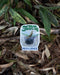 Resilience Tree Sticker featuring a watercolor illustration of the Tree of Life and RESILIENCE text, perfect for personalizing laptops or water bottles.