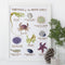 Pacific Coast Tidepools Art Print featuring watercolor illustrations of tidepool sea life, including a crab and starfish, with common and Latin names.