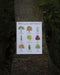 Trees of the Northeast Art Print featuring watercolor illustrations of native trees with their names. Artwork by Brigida Swanson, unframed, on archival paper.