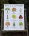 Trees of the Northeast Art Print featuring watercolor illustrations of native trees with common and Latin names, designed by artist Brigida Swanson. Frame not included.