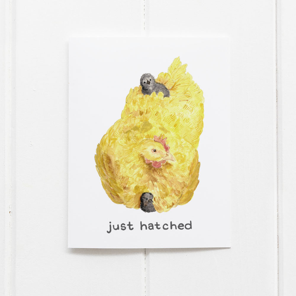 just hatched new baby card with hen and chicks