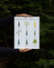 Person holding Pacific Northwest Trees Watercolor Art Print, featuring nine illustrated native trees with names, highlighting the region's natural beauty.