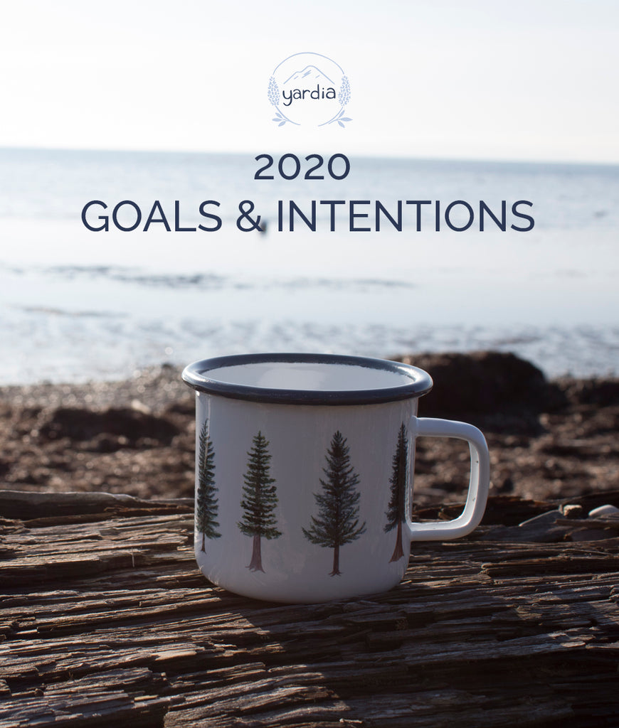 2020 Goals and Intentions