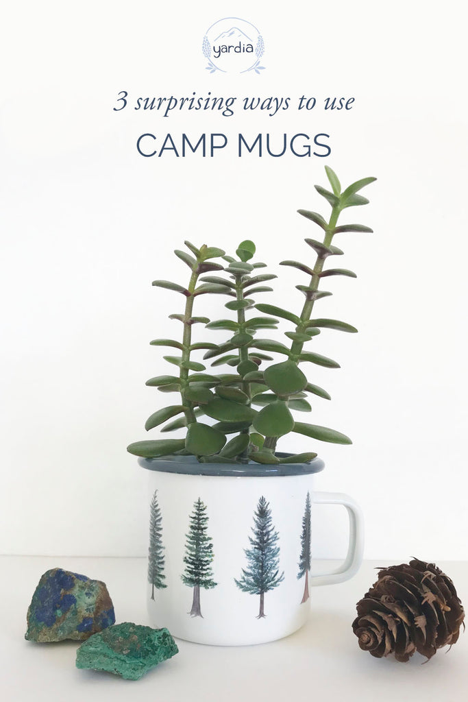3 Surprising Ways to Use Camp Mugs