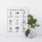 Midwest Wildflowers Wall Art - 11" x 14" Botanical Art Print