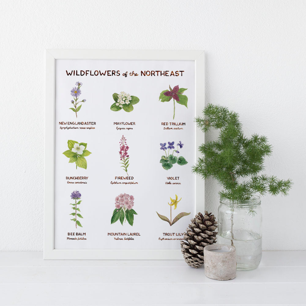 Northeast Wildflowers Wall Art - 11" x 14" Floral Art Print
