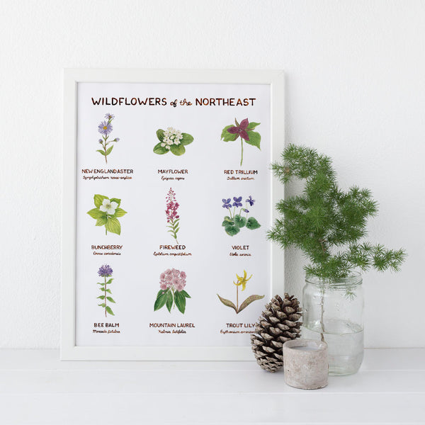 Northeast Wildflowers Wall Art - 11" x 14" Floral Art Print
