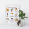 East Coast Mushrooms 11 x 14 Watercolor Botanical Art Print