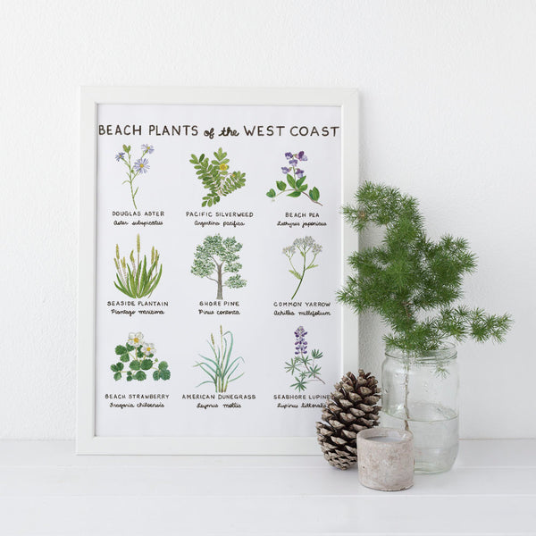 West Coast Beach Plants 11 x 14 Botanical Art Print