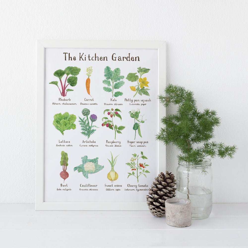 Kitchen Garden Art Print featuring watercolor illustrations of fruits and vegetables, displayed in a decorative setting with a plant and candle. Frame not included.