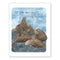 Steller Sea Lions Relaxing Birthday Card