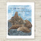 Steller Sea Lions Relaxing Birthday Card