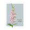 Foxglove Card - Botanical Everyday Card