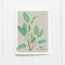 Sage Card - Botanical Everyday Card featuring a detailed watercolor illustration of sage leaves, labeled with both common and Latin names, on recycled paper.