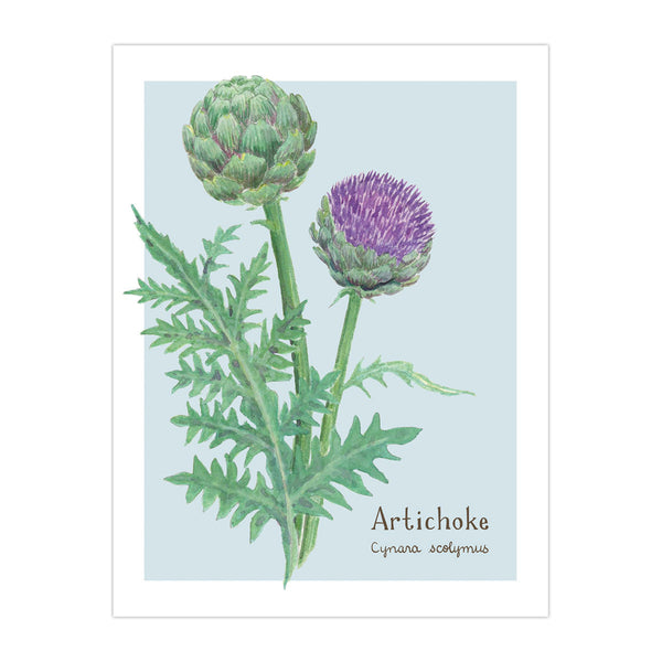 Artichoke Card - Botanical Everyday Card featuring a detailed watercolor artichoke illustration with its names, blank inside for personalization, includes recycled paper and kraft envelope.