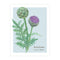 Artichoke Card - Botanical Everyday Card