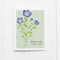 Baby Blue Eyes Wildflower Card featuring a watercolor illustration of blue flowers with common and Latin names, perfect for personalized messages.