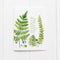 Sympathy Card - Watercolor Botanical Sympathy Card