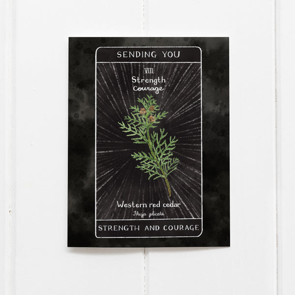 Tarot Strength Encouragement Card - Get Well Greeting Card