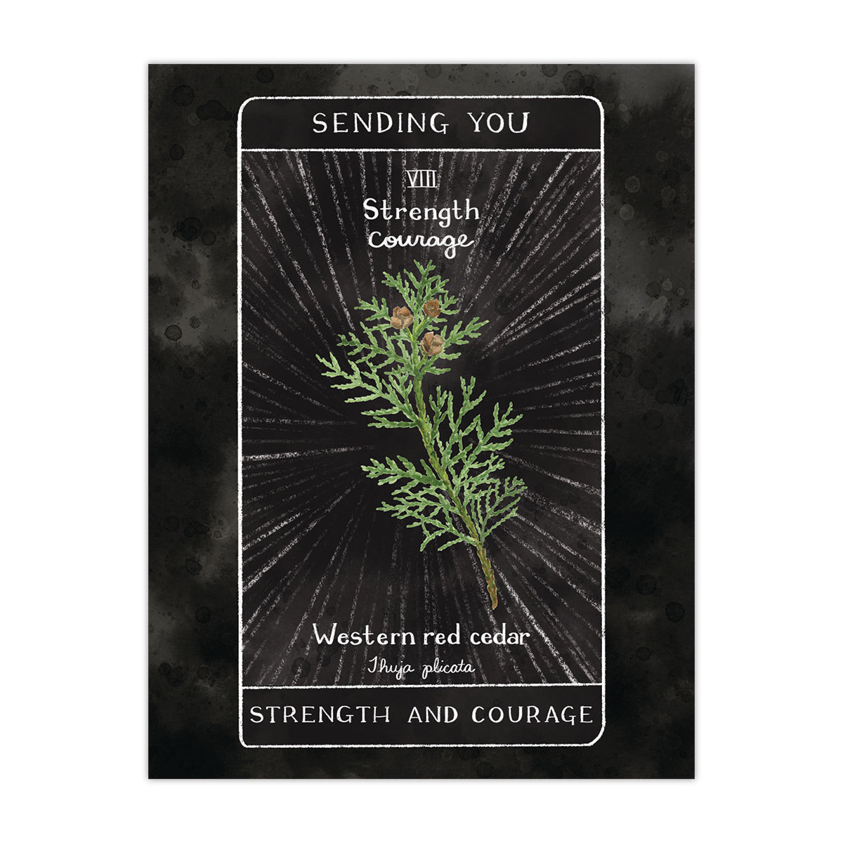 Tarot Strength Encouragement Card - Get Well Greeting Card